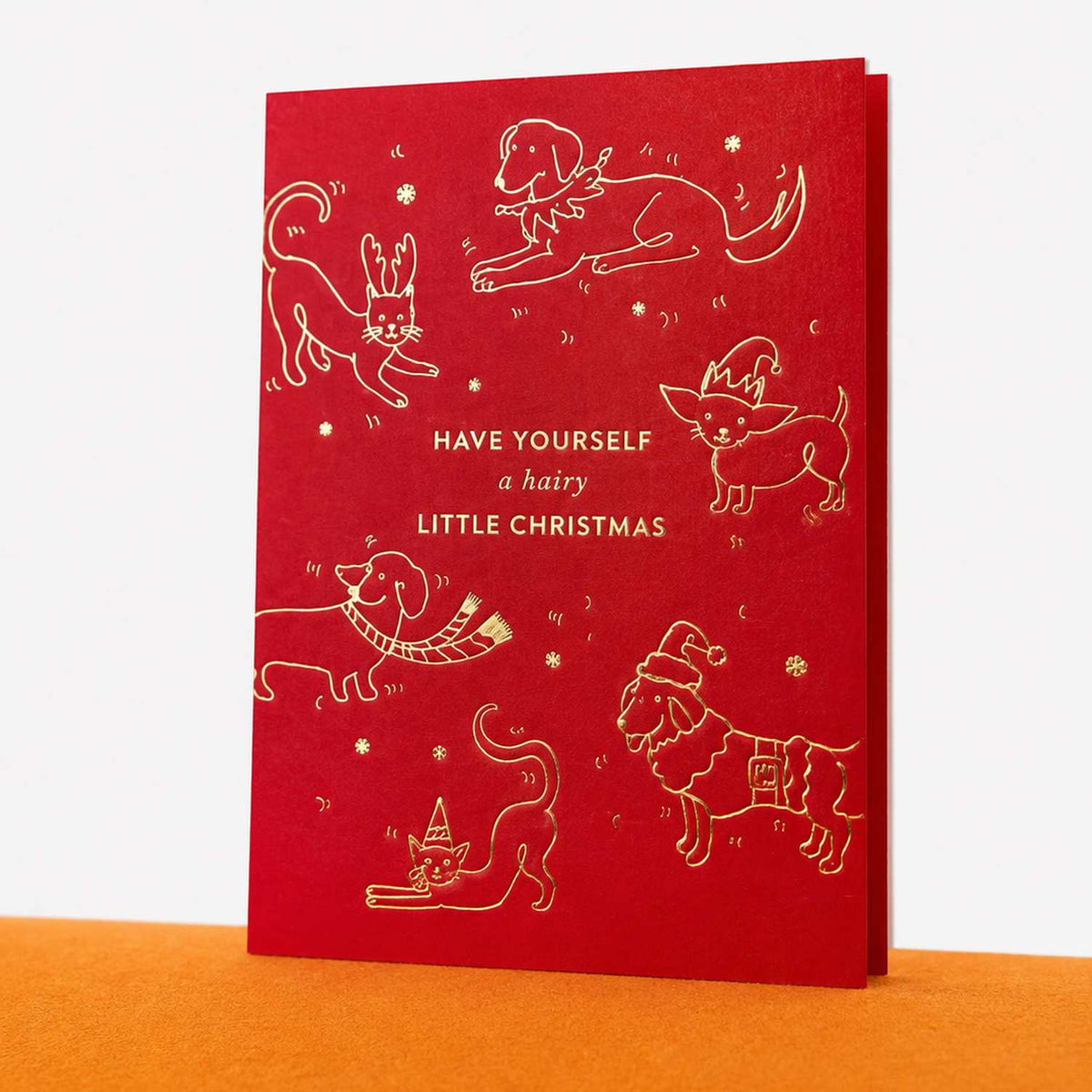 Kalėdinis atvirukas „Have Yourself a Hairy Little Christmas“